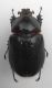 DSCF1251.JPG