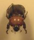 DSCF1293.JPG