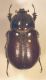 DSCF1298.JPG