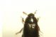 DSC06423.jpg