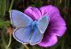 2010_05_22__162.JPG