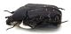 Comb1615_13zF8cr.jpg