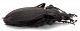 Comb1612_27zF8cr.jpg