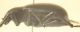 image3.jpg