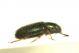 DSC06887.jpg