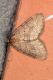 IMG_6326 copia 2.JPG