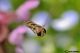DSC_5795.jpg