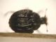 DSCF8037.JPG