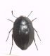 DSCF1487.JPG