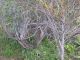 DSCN8927.jpg