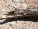 DSCN9128.jpg
