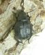DSCN9230.jpg