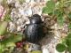 DSCN9248.jpg