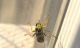 CI 26_03_2015 21_23_33.jpg