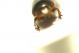 DSC07515.jpg