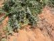 DSCN9418.jpg