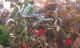 CI 01_04_2015 21_21_56.jpg