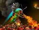 dragonbuprestide.jpg