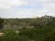 DSCN9157.JPG