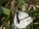 DSCN1131.JPG