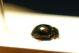 DSC07908.jpg