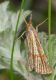 IMG_7514 copia.JPG