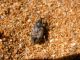 DSCN9406.JPG