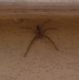 IMG_201505122_102504.jpg