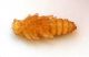 Pupa_01.jpg