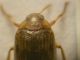 DSCN9733.JPG