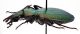 Comb1624_32zF8cr.jpg