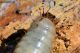 DSC_8259-lr-wm.jpg