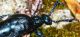 180415 050crop.jpg