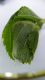 DSCF8471.JPG
