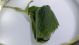 DSCF8473.JPG