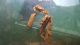 WP_20150518_09_39_06_Pro (FILEminimizer).jpg