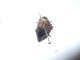 DSCN2614.JPG