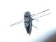 DSCN2613.JPG