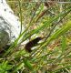 IMG-20150509-WA0001.jpg