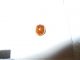 DSCN2624.JPG