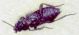 Image132.jpg