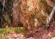 I.Sardegna, Provincie Ogliastra ,territorio Su Marmuri 26.04.2015,Ulassai  Grotta S´ Abba Frida.JPG