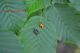 DSC_0015 - Copia.JPG