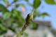 DSC_0025 - Copia.JPG