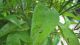 WP_20150608_17_08_08_Pro (FILEminimizer).jpg