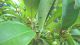 WP_20150608_17_09_09_Pro (FILEminimizer).jpg