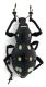 Comb1680_19zF5cr.jpg
