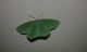 20150611_002210.jpg