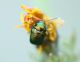 Progetto1_IMG_4075FEI.jpg