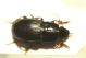 DSC08837.jpg